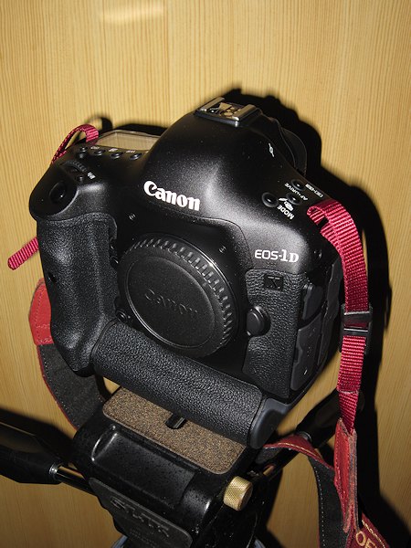 Canon EOS-1DX
