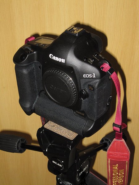 Canon EOS-1Ds Mark�V