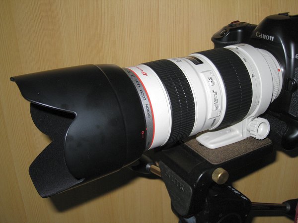 Canon EF70-200mm F2.8L USM